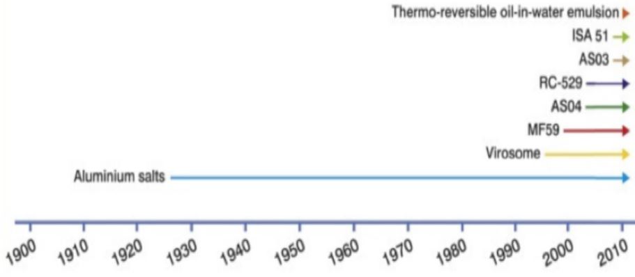 10.c ábra – Különböző adjuvánsok bevezetésének és használatának kronológiája (140)
