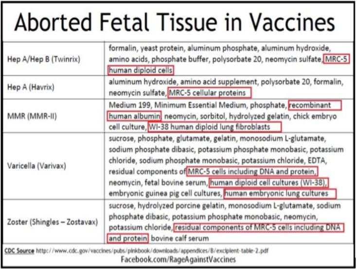 12. ábra – Emberi sejtekből származó védőoltás adjuvánsok (a CDC webszájtján megtekinthető)