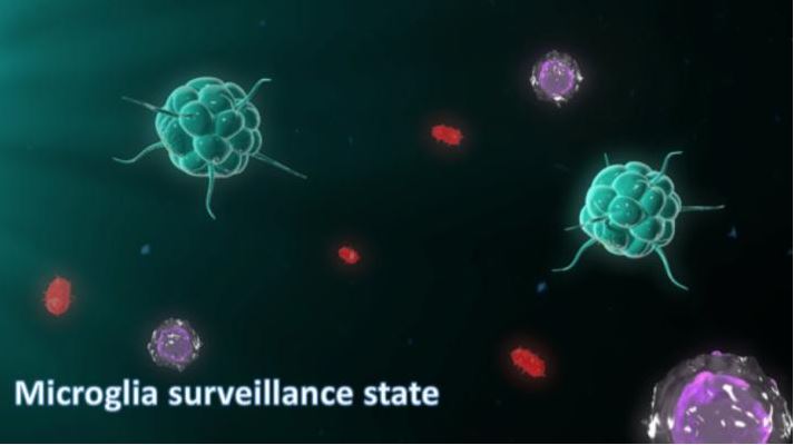 4. ábra – nyugalmi, felügyelő állapot