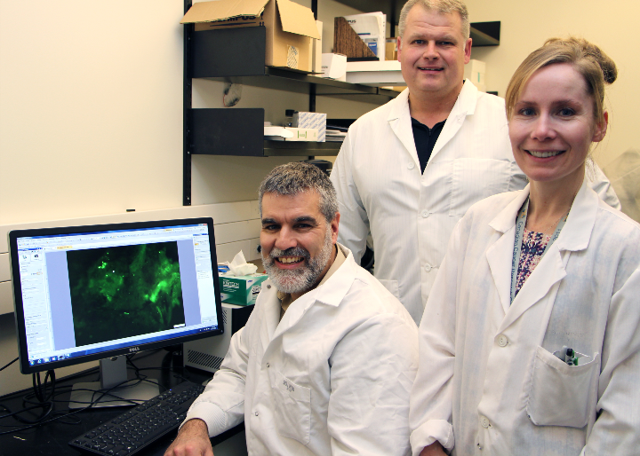 Byram Bridle a kanadai Guelph Egyetem virológia és immunológia professzora.